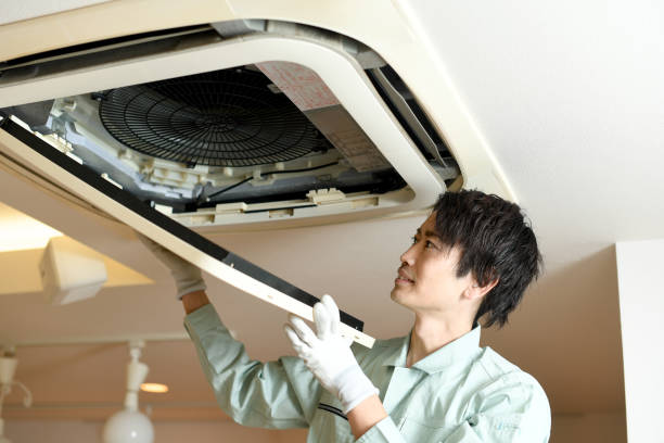 Best Dryer Vent Cleaning Services  in Lady Lake, FL